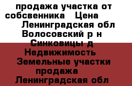 продажа участка от собсвенника › Цена ­ 380 000 - Ленинградская обл., Волосовский р-н, Синковицы д. Недвижимость » Земельные участки продажа   . Ленинградская обл.